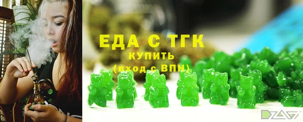 амф Каменка