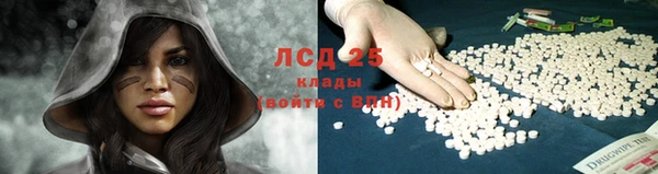 ALPHA PVP Каменногорск
