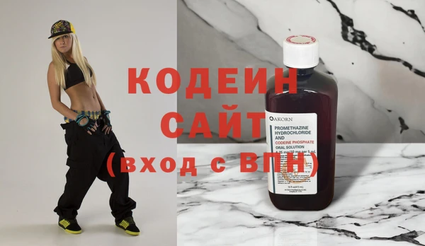 амф Каменка