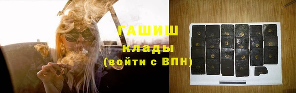 амф Каменка