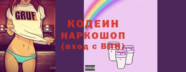 амф Каменка