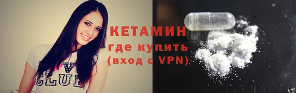 амф Каменка