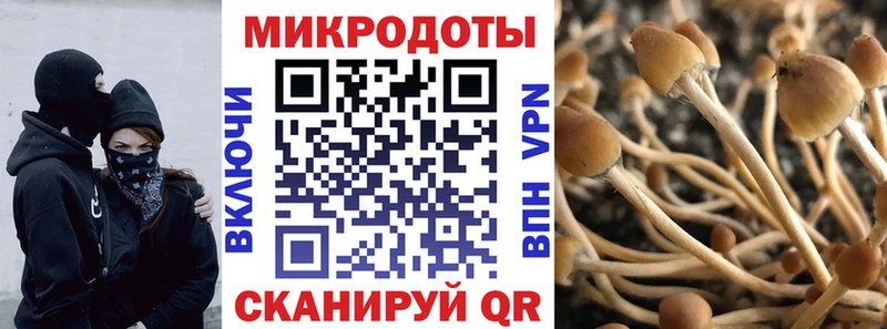 Купить где  Дивногорск  Галлюциногенные грибы Psilocybe 